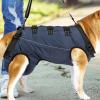 Support Harness for Dogs | Adjustable Lifting Aid for Outdoor Walks and Senior Pets view 3