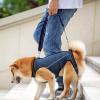 Support Harness for Dogs | Adjustable Lifting Aid for Outdoor Walks and Senior Pets view 4