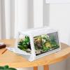 Bexdug Reptile Terrarium view 2