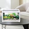 Bexdug Reptile Terrarium view 3