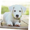 Cabilock 5-Piece Dog Collar Bell Pendant view 3