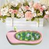 Silkworm Hatching Box with Transparent, Ventilated Design view 3