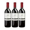 DELINAT Sainte-Foy 2021 French Organic Dry Red Wine from Bordeaux view 1