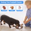 Double-Sided Non-Slip Stainless Steel Slow Feeder Dog Bowl view 3