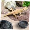 GLEAVI Reptile Feeding Bowl view 4
