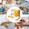 2-in-1 Automatic Cat Feeder, Large Capacity view 4