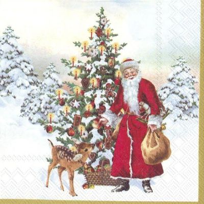 3-Ply Christmas Paper Napkins, 25 x 25 cm, 20 Count, Santa Design
