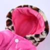 Cat Clothing, Warm Winter Sweater Hoodie for Small Pets and Puppies, Waterproof Thick Coat and Raincoat for Small Dog Breeds Such as Chihuahuas (B, XL) view 2