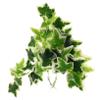 Toyvian Artificial Hanging Reptile Plant with Suction Cup view 1