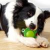 Squeaky Latex Dog Chew Toys view 2
