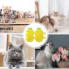 Graomer Cat Grooming Tool with Pineapple Design view 4