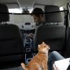 Foldable Dog Car Seat Safety Barrier, Nonslip Divider Net view 3
