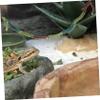 ibasenice 2-Piece Cotton Rope Reptile Toys for Terrariums view 4