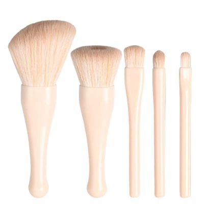 Travel Makeup Brush Set for Women