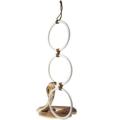 Snake Climbing Accessory for Reptiles and Corn Snake Habitats