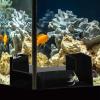 Shrimp Tunnel Cave Hideout view 2