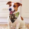 Cute Monkey Dog Bandanas for Feeding and Grooming, Washable Triangle Scarves for Cats and Dogs view 3