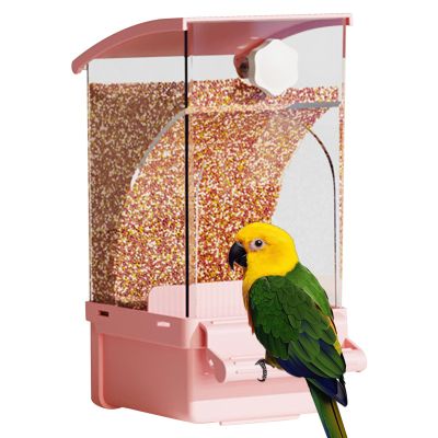 Automatic Bird Feeder, Transparent Feed Container