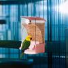 Automatic Bird Feeder, Transparent Feed Container view 2