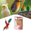 Automatic Bird Feeder, Transparent Feed Container view 4