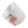 ibasenice Elevated Ceramic Cat Food Bowl with Neck Protection, Slanted Bowl for Cats and Small Dogs view 1