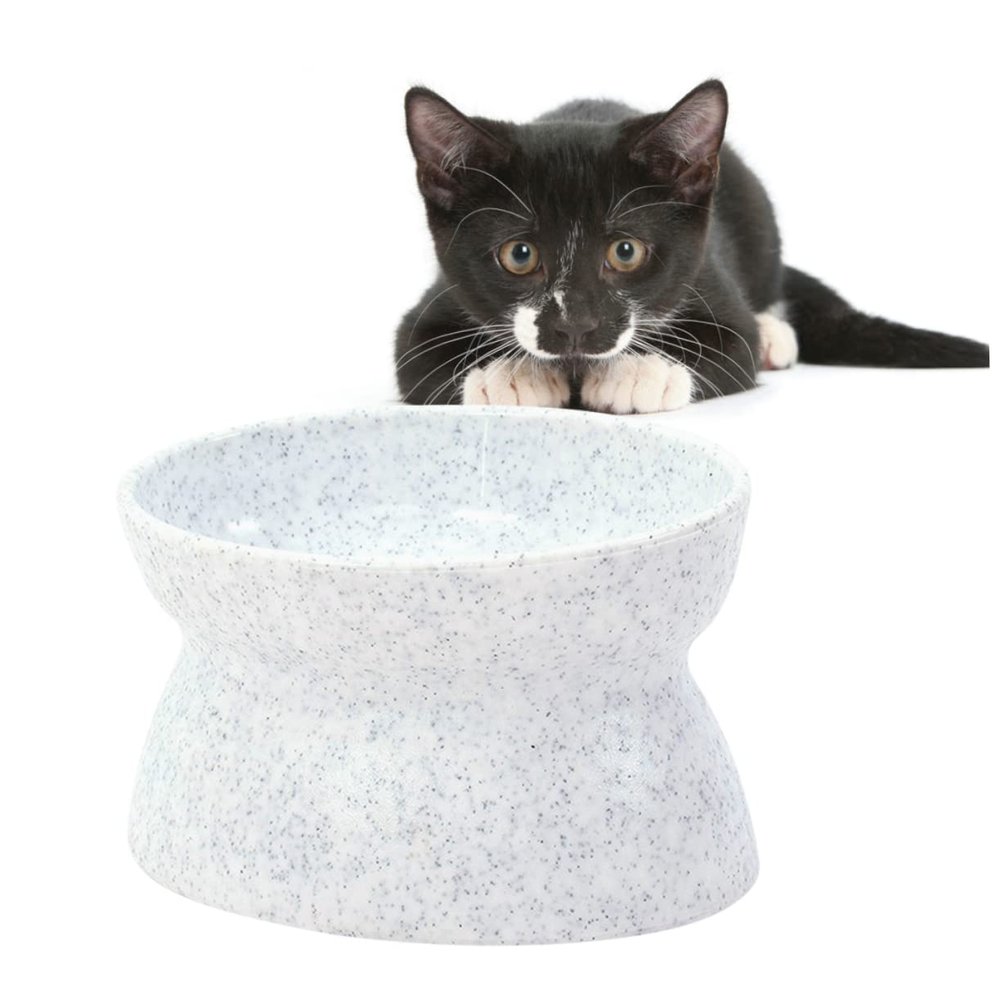 JOINPAYA Non-Slip Plastic Pet Bowl with 10° Tilt and Marble Pattern, 290ml for Cats and Small Dogs