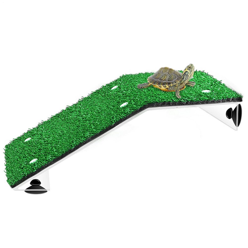 Desert Turtle Floating Dock Ramp