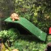 Desert Turtle Floating Dock Ramp view 3