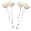 Diffuser Sticks with Dried Flowers, 4 Pieces for Cabins view 1