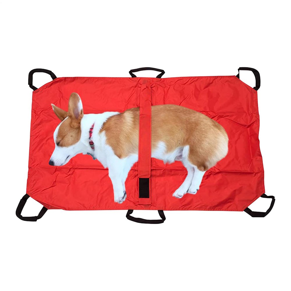 Dog Transport Carrier – Foldable, Lightweight Design for Small and Large Dogs