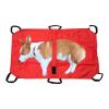 Dog Transport Carrier – Foldable, Lightweight Design for Small and Large Dogs view 1