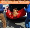 Dog Transport Carrier – Foldable, Lightweight Design for Small and Large Dogs view 3
