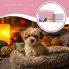 Dog Diapers, 10 Pack, Absorbent, Comfortable, Breathable view 2