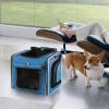Dog Bicycle Basket Carrier view 2