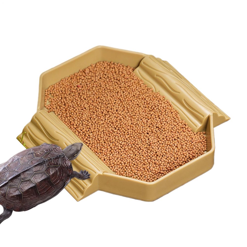 Tortoise Water Dish