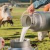 ENER UHT Farm Milk 3.5% Fat, 1 L, 12-Pack view 3