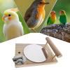 Bird Mirror for Cages | Interactive Wooden Toy view 4