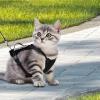 Cat Harness - Escape-Proof Adjustable Vest Harness view 2