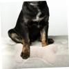 POPETPOP Soft Sheep Fleece Squeaky Chew Toy for Small Dogs view 3