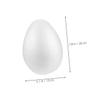 Alipis White Foam Egg, 20 cm, for Painting and Decorating view 2