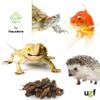 UGF Dried Crickets, 400 g in a 3-Liter Bucket view 4