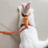 Phefop Rabbit Harness Set with Metal Buckle view 4