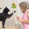 Lunaobrik Interactive Cat Wand view 3