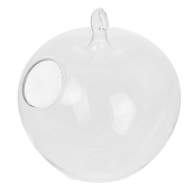 HEATSHAKING Apple-Shaped Glass Aquarium