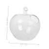 HEATSHAKING Apple-Shaped Glass Aquarium view 2