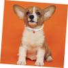 FUTUREORYY Adjustable Cat Collar with Bell - 2 Pack view 3