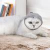 Adjustable Cat Muzzle with Breathable Mesh for Grooming and Bathing view 2