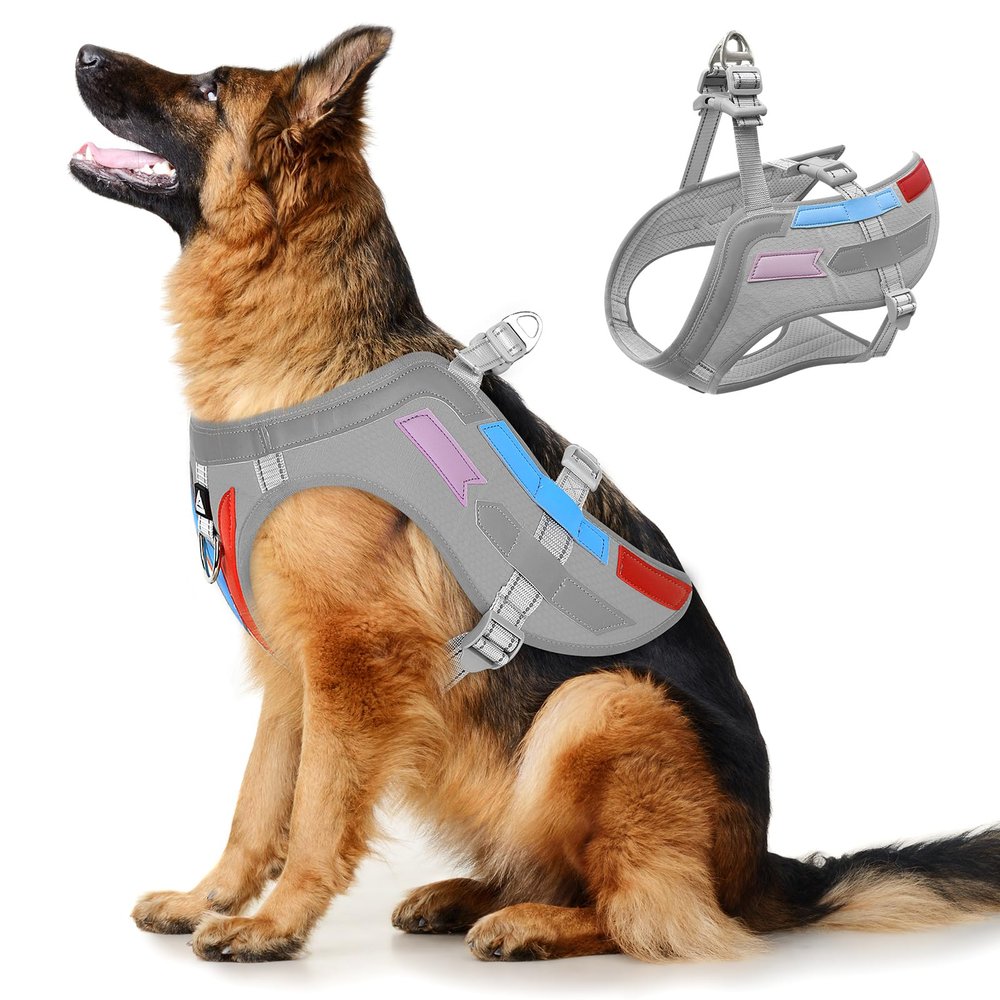 Dog Harness with Wings in Black & Gray
