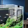 Acrylic Fish Breeding Box | Transparent Plastic Hatchery Box for Freshwater and Saltwater Aquariums view 3