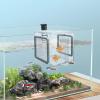 Acrylic Fish Breeding Box | Transparent Plastic Hatchery Box for Freshwater and Saltwater Aquariums view 4